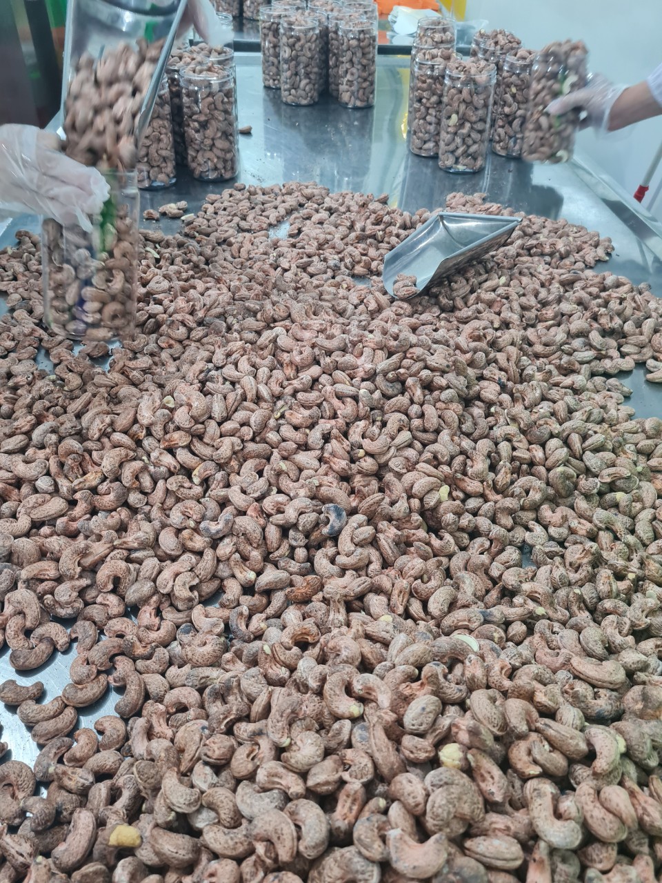 Hạt điều vỏ lụa