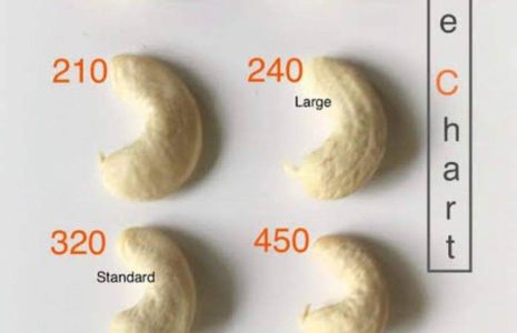 Cách phân biệt các sizze hạt điều